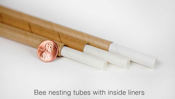 bee_nesting_tubes_inside_liners_spiral_paper_tubes